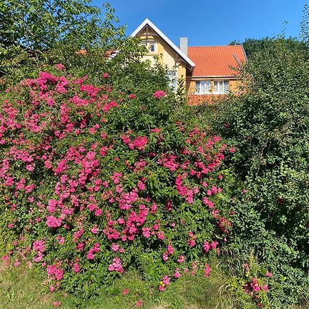 Neulandhof Spoering Leilighet Walsrode Eksteriør bilde