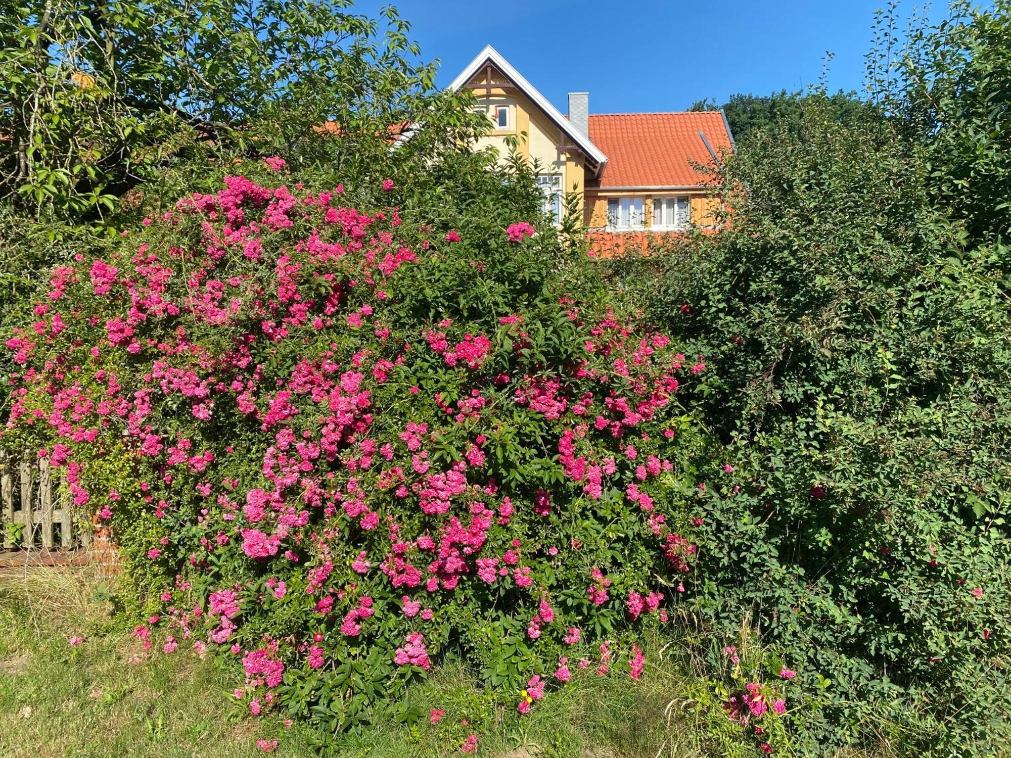 Neulandhof Spoering Leilighet Walsrode Eksteriør bilde